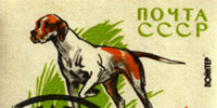 1965_dogs_thumb