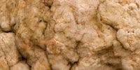 20090328_brain-rock_thumb