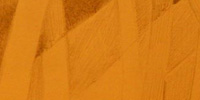 The Orange Cat is silhouetted while he walks upon an old road. Through the trees surrounding the road, rays of sunlight are visible.