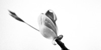 20090418_new-life_thumb