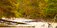 Autumn's Road
