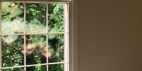 His old room, now empty. Evergreen trees can by seen outside the window. It's dusk and the light is old. It fills the space like grace.