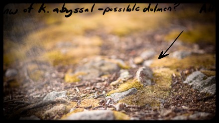 dolmen